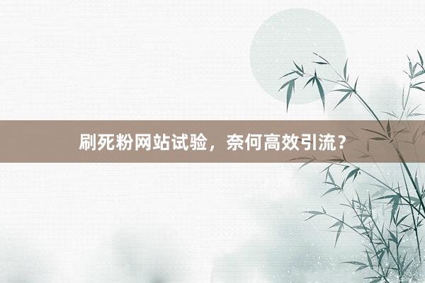 刷死粉网站试验，奈何高效引流？